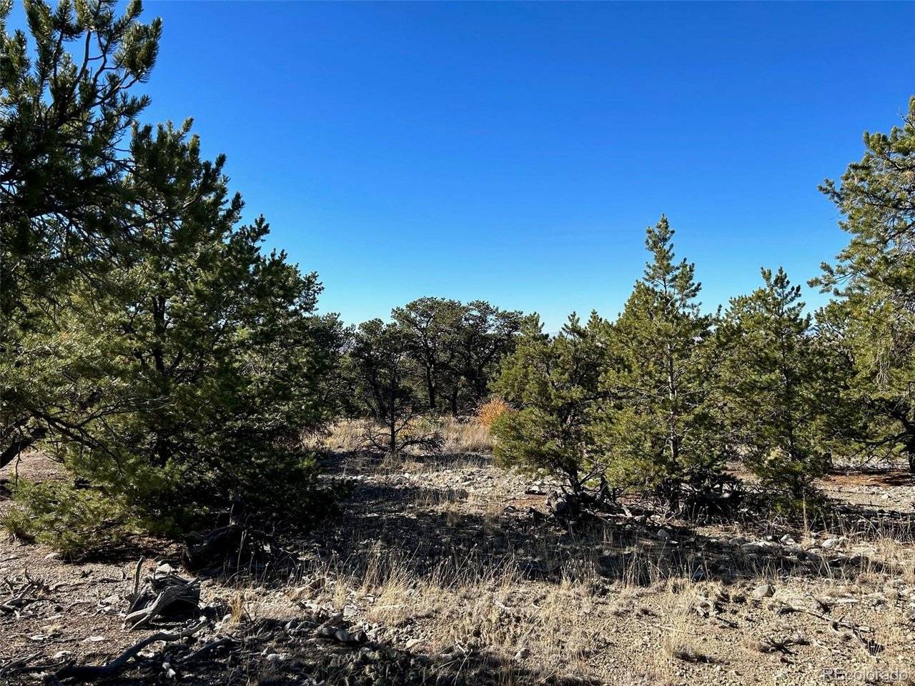 62 Mill, Alamosa, CO 81101