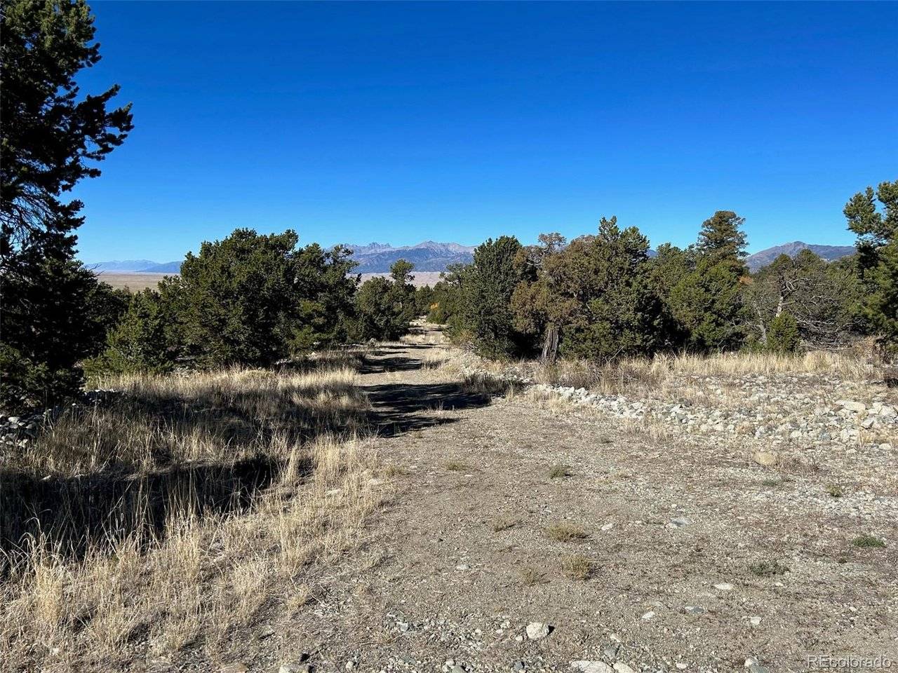 62 Mill, Alamosa, CO 81101