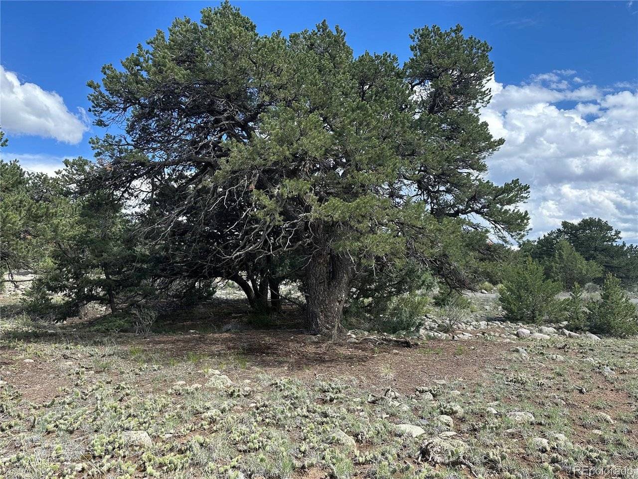 3694 Enchanted, Crestone, CO 81131