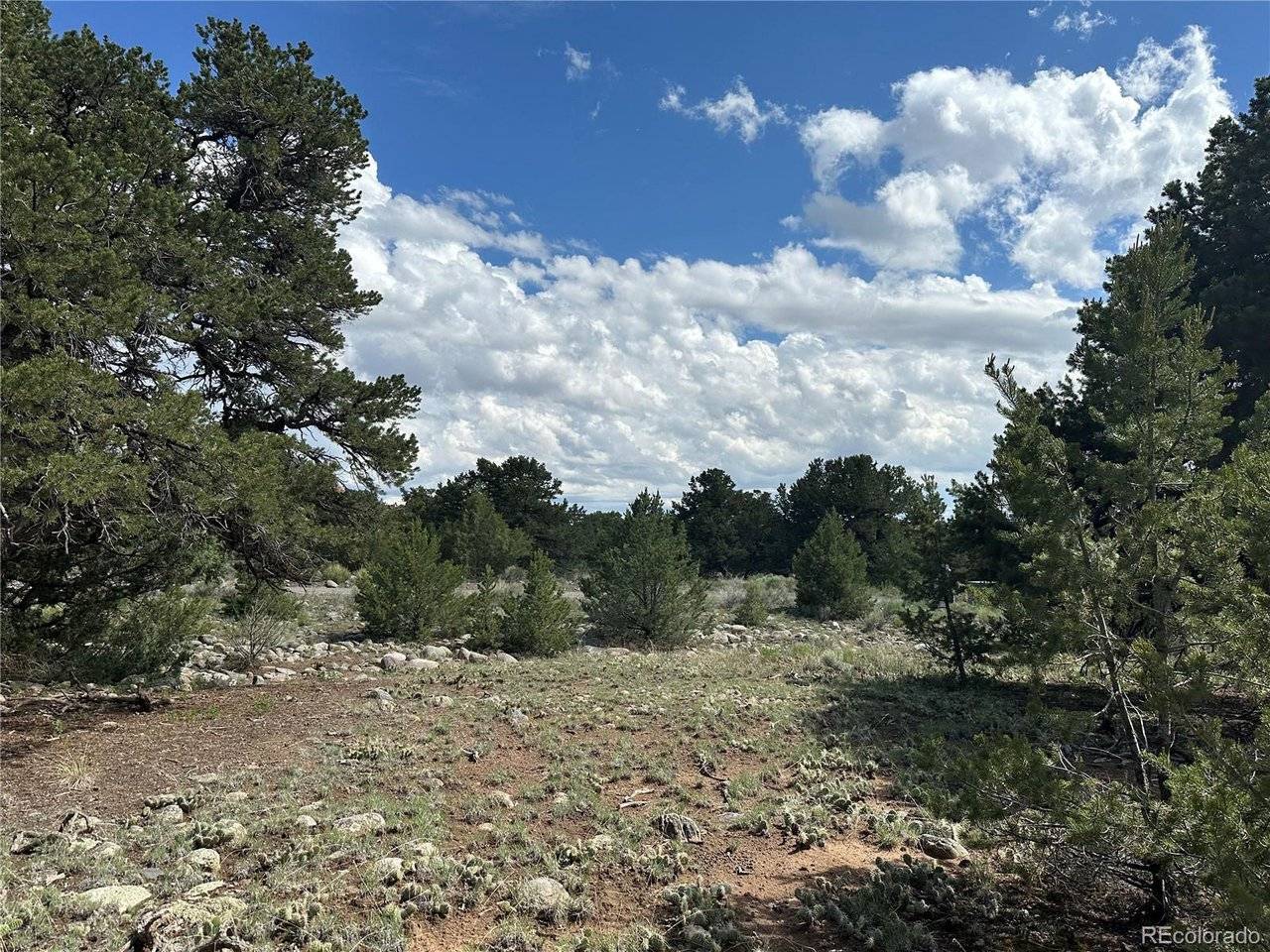 3694 Enchanted, Crestone, CO 81131