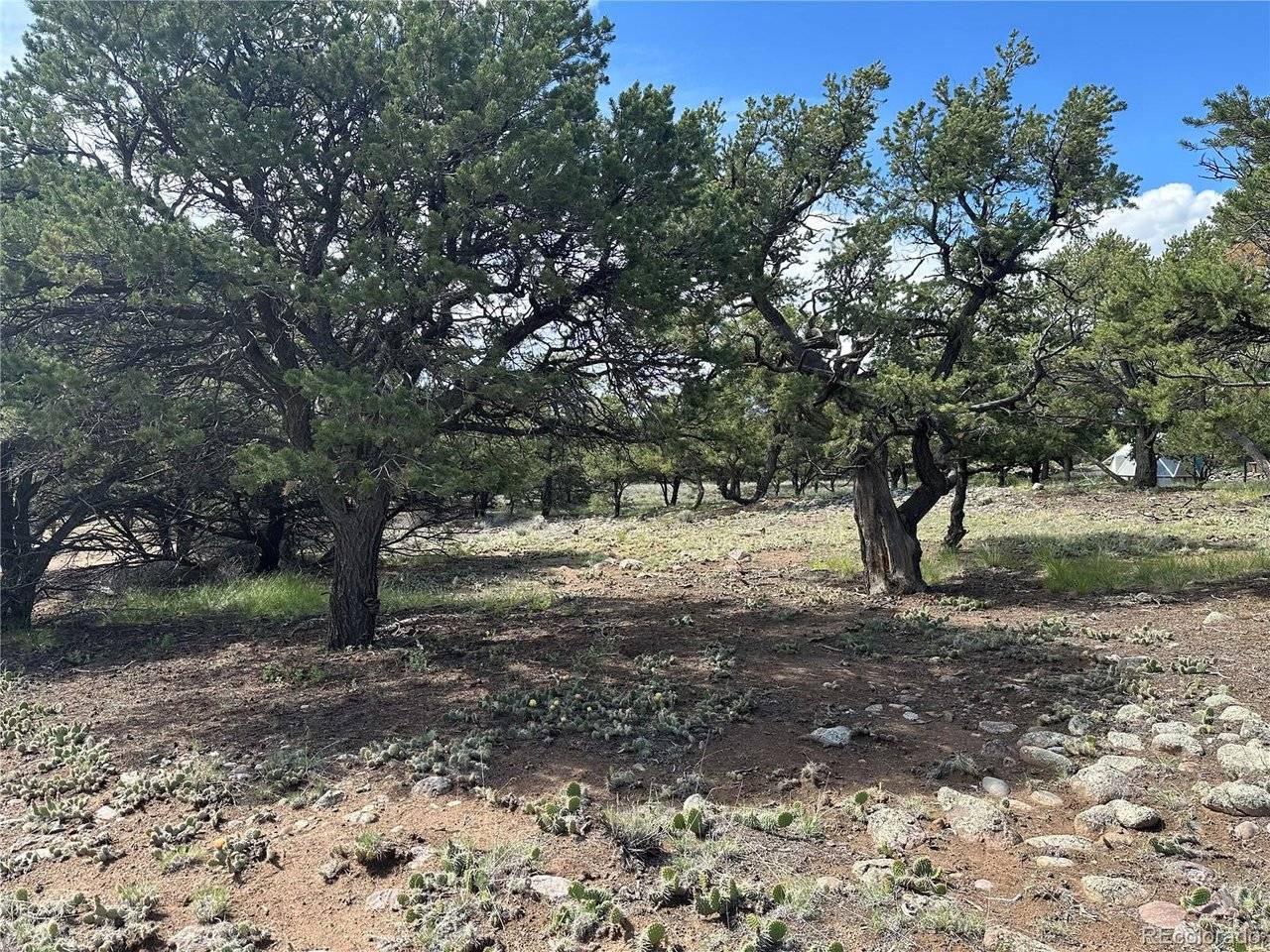 3694 Enchanted, Crestone, CO 81131