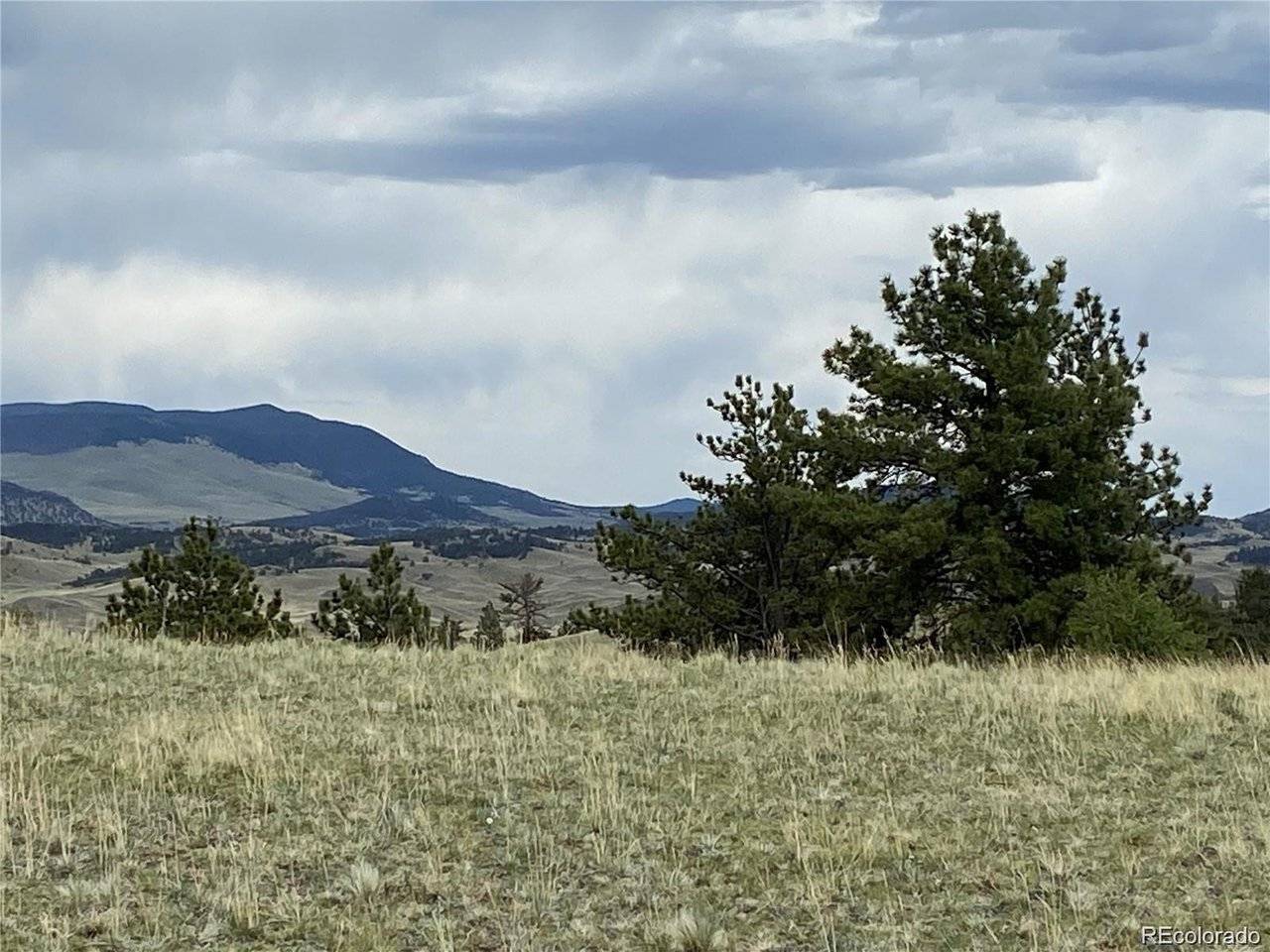 Kansa, Hartsel, CO 80449