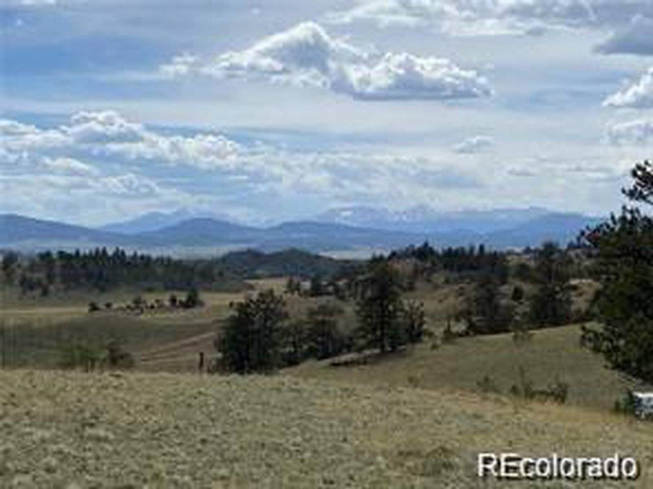 Kansa, Hartsel, CO 80449