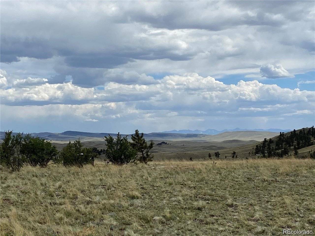 Kansa, Hartsel, CO 80449