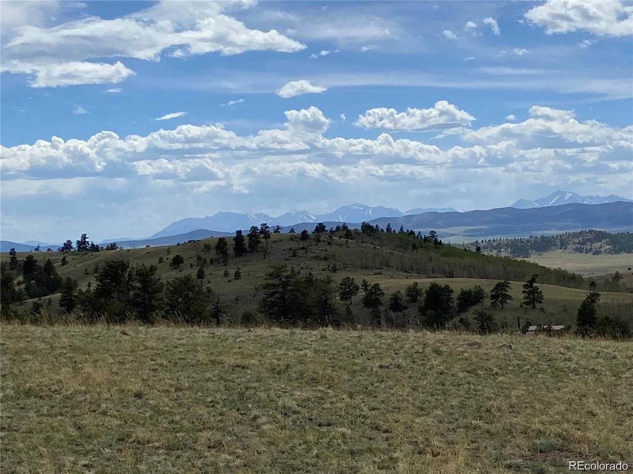 Kansa, Hartsel, CO 80449