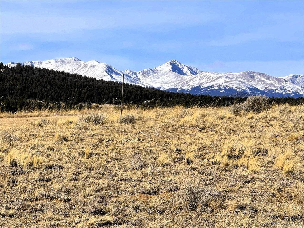620 Wagon Wheel, Hartsel, CO 80449