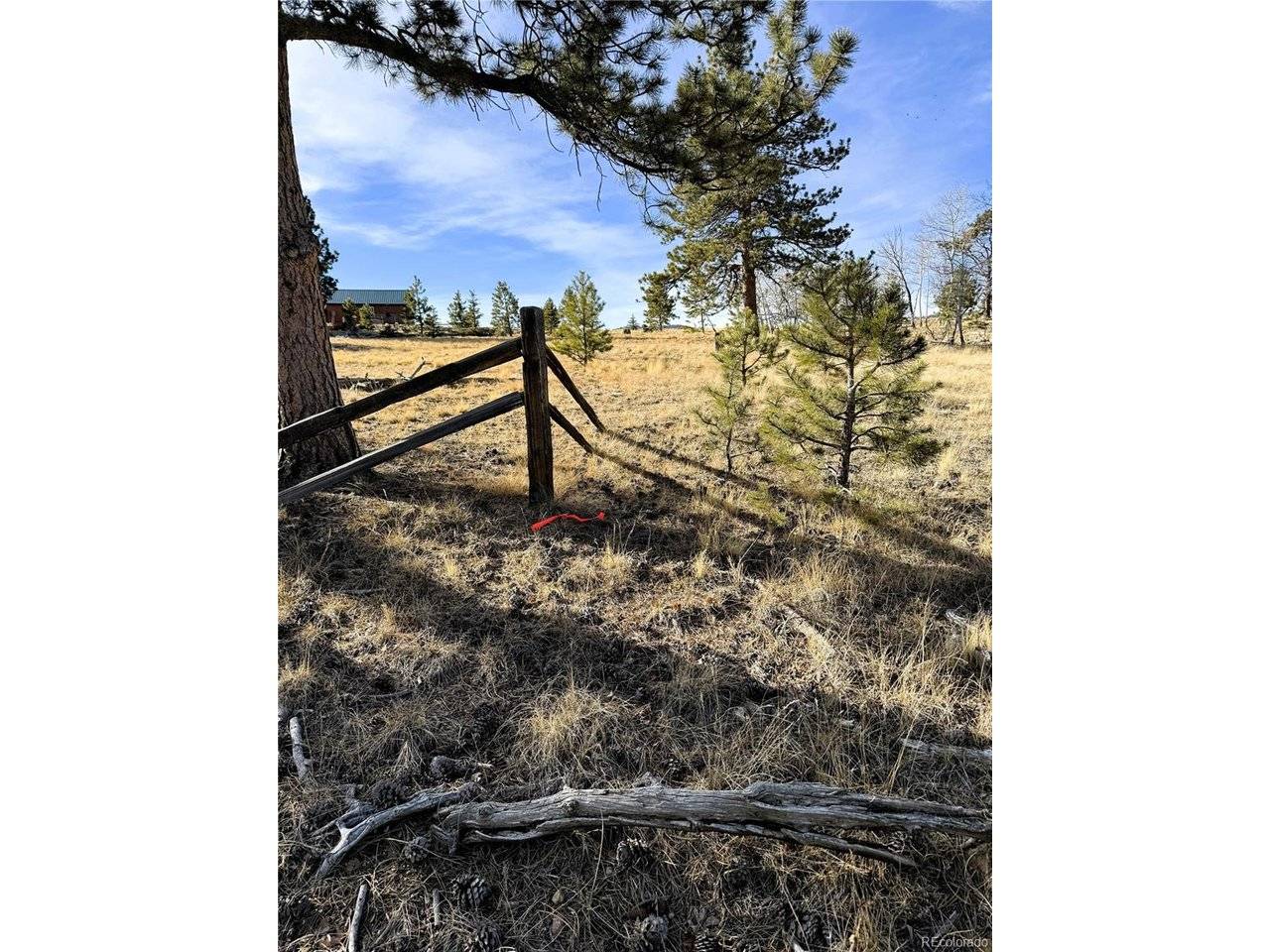 620 Wagon Wheel, Hartsel, CO 80449
