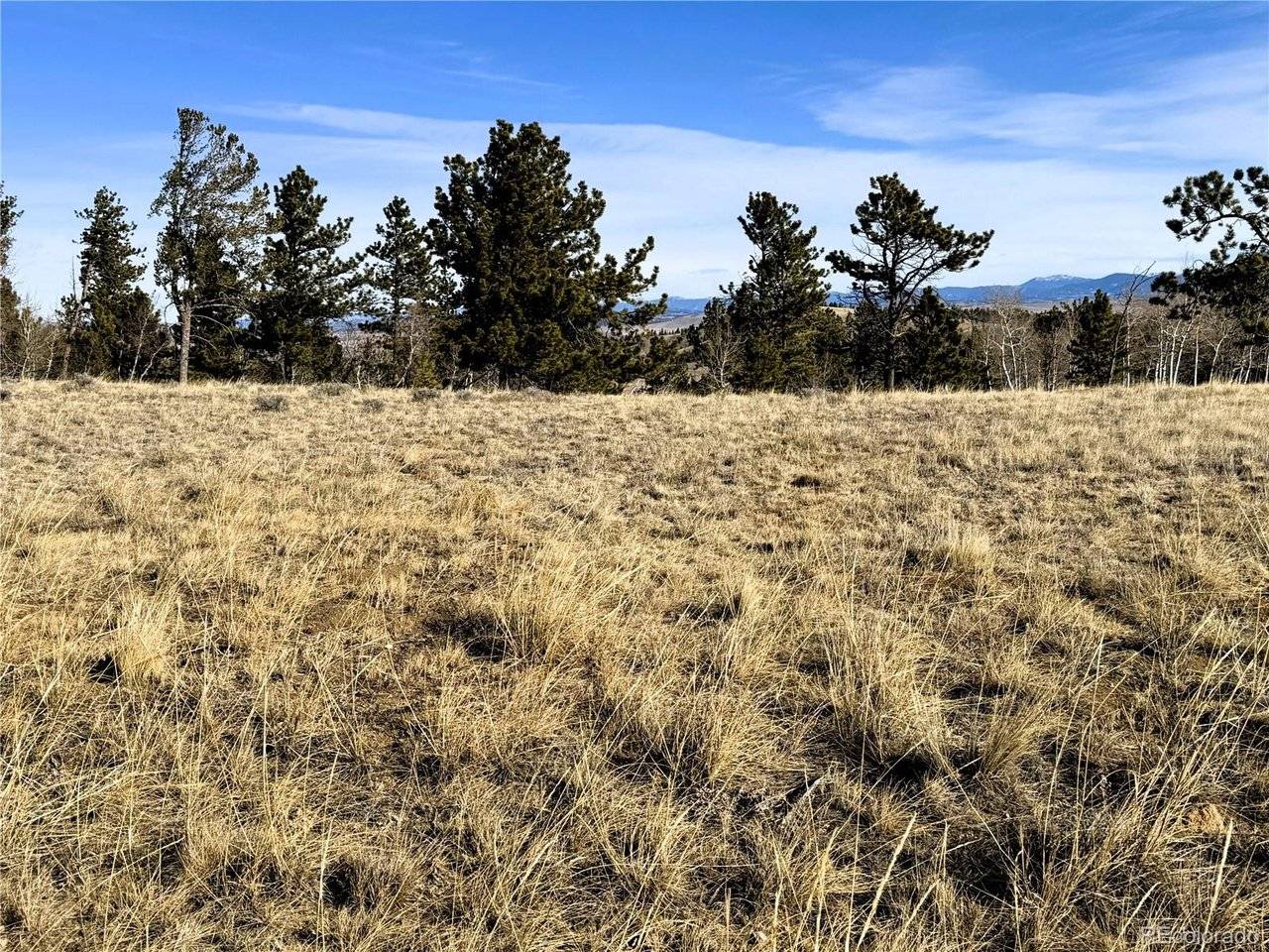 620 Wagon Wheel, Hartsel, CO 80449