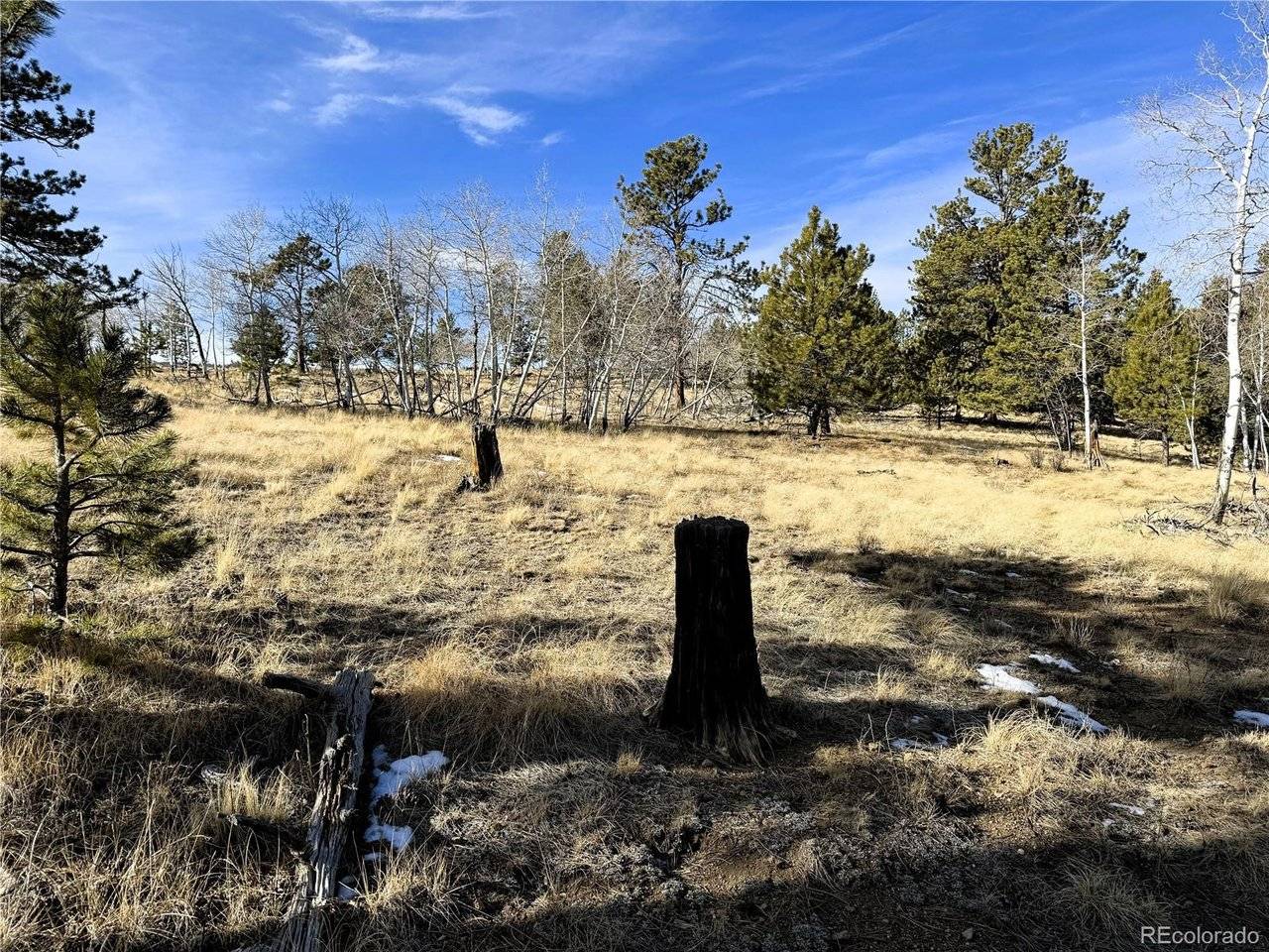 620 Wagon Wheel, Hartsel, CO 80449