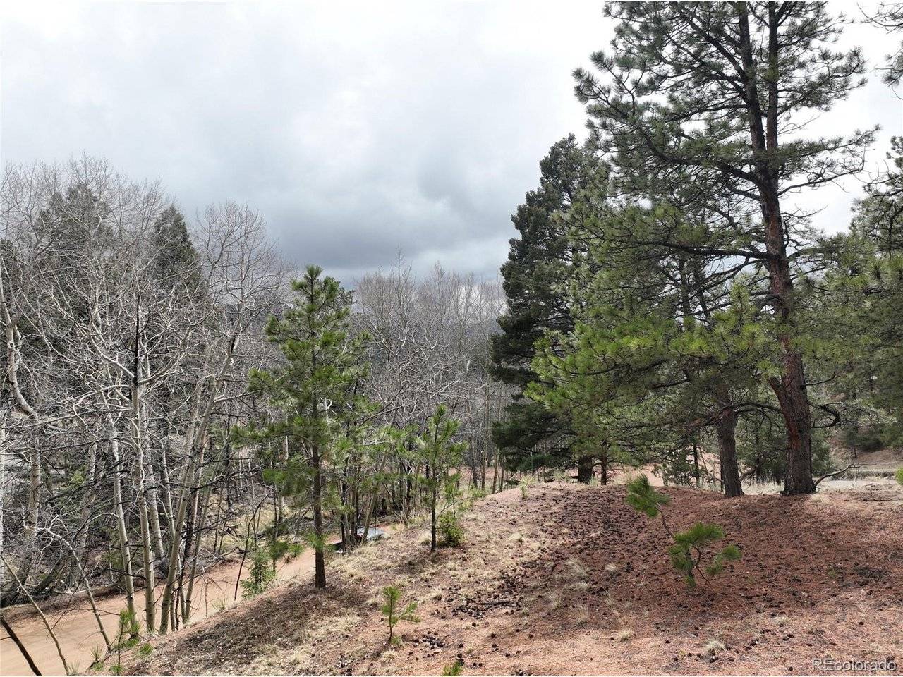 255 Pinon, Florissant, CO 80816