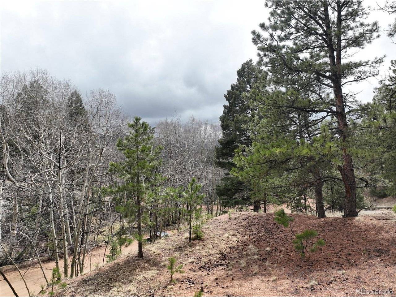 255 Pinon, Florissant, CO 80816