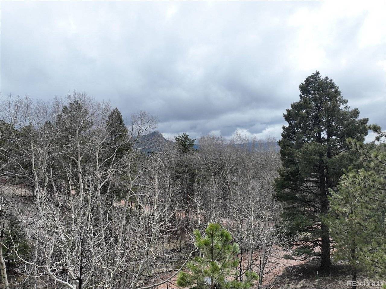 255 Pinon, Florissant, CO 80816