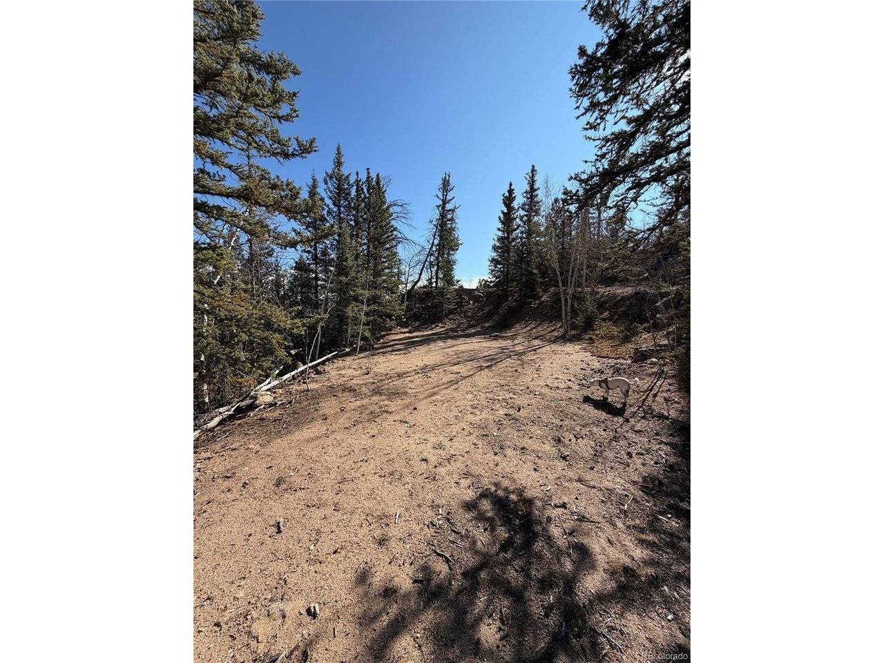 2201 Overland, Jefferson, CO 80456
