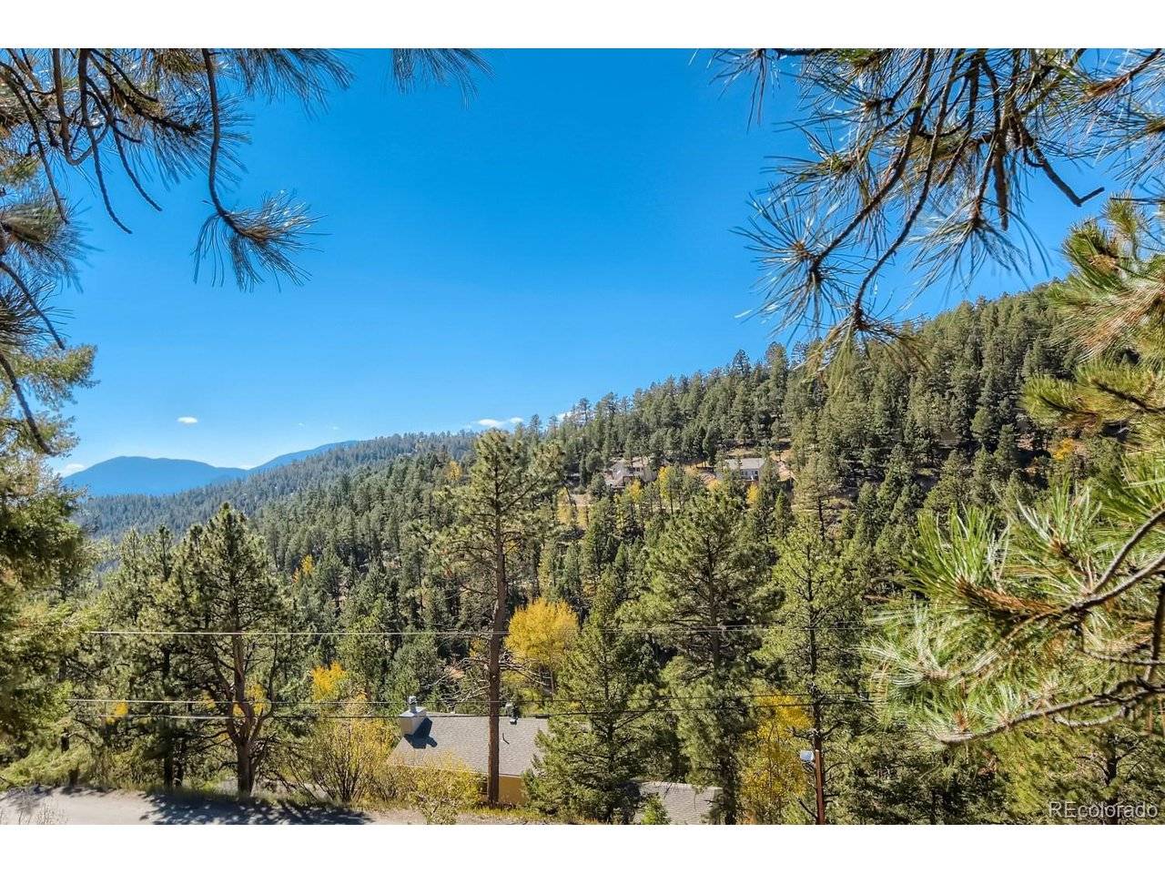 Elsie, Conifer, CO 80433