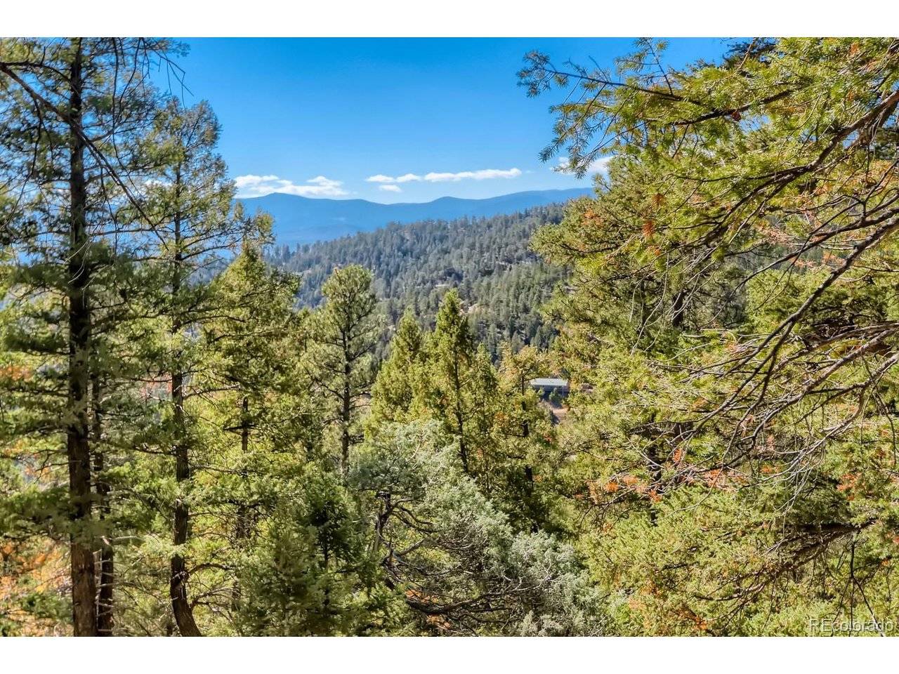 Elsie, Conifer, CO 80433