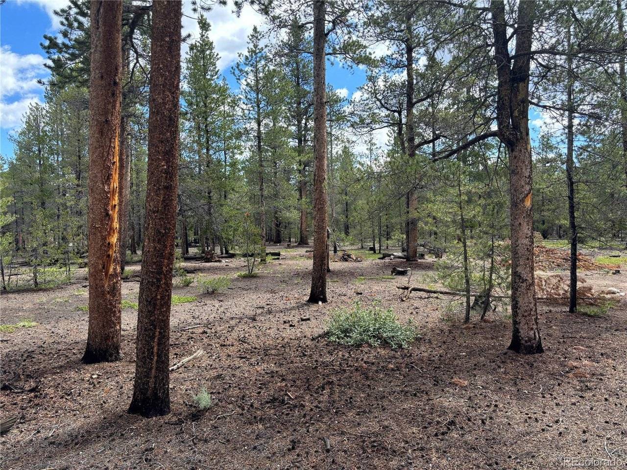 399 Fir, Twin Lakes, CO 80461