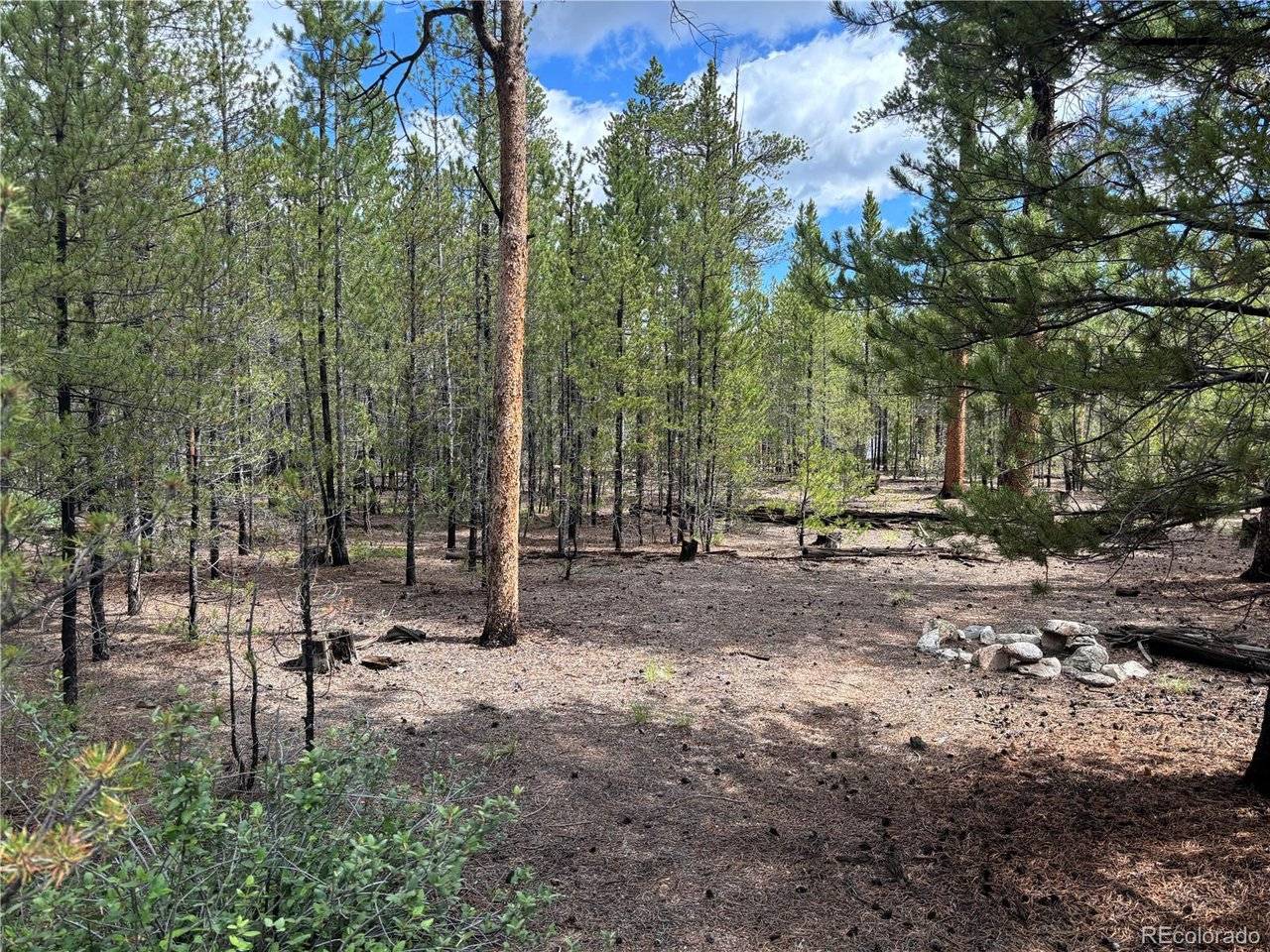 399 Fir, Twin Lakes, CO 80461