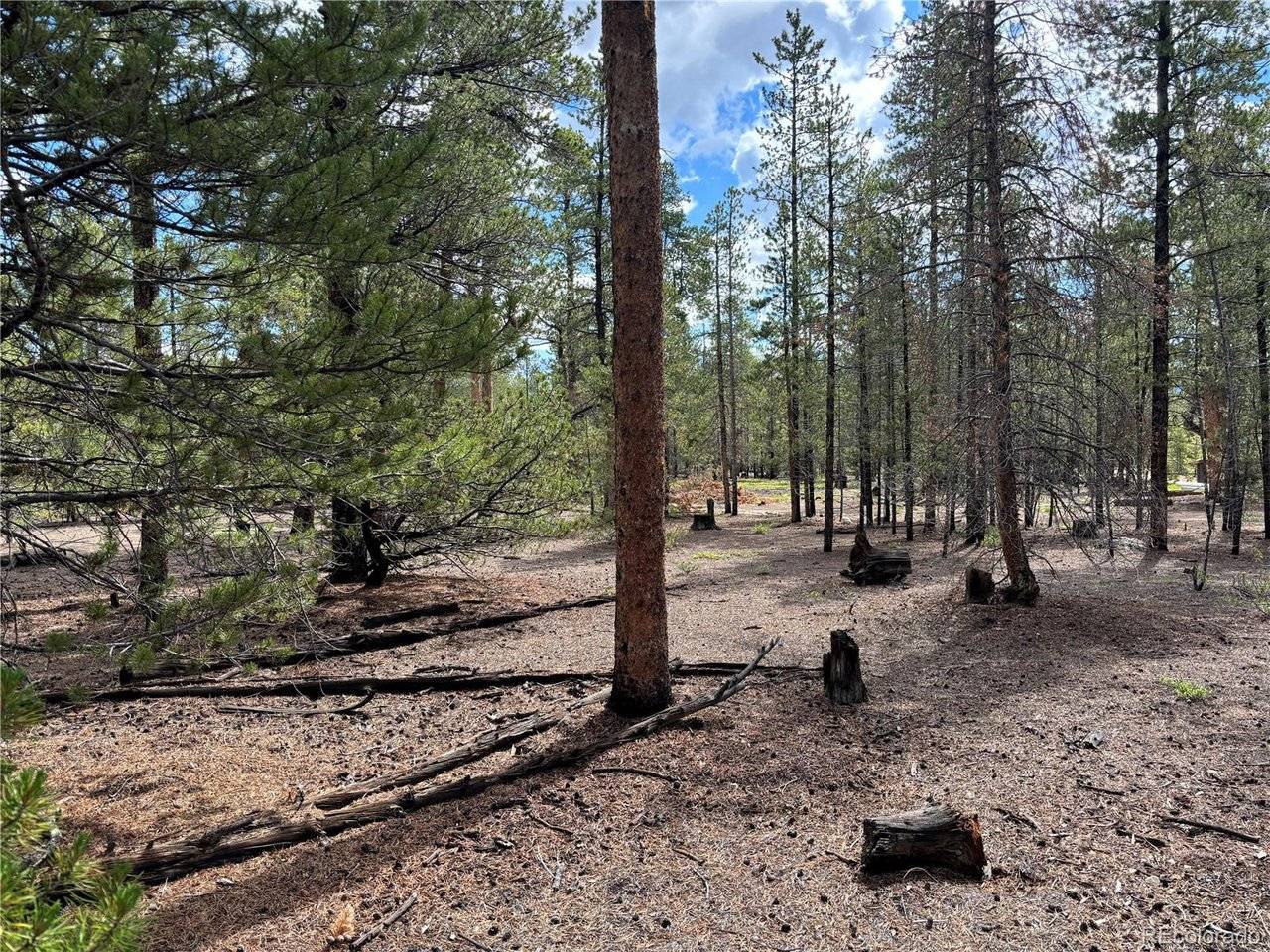399 Fir, Twin Lakes, CO 80461