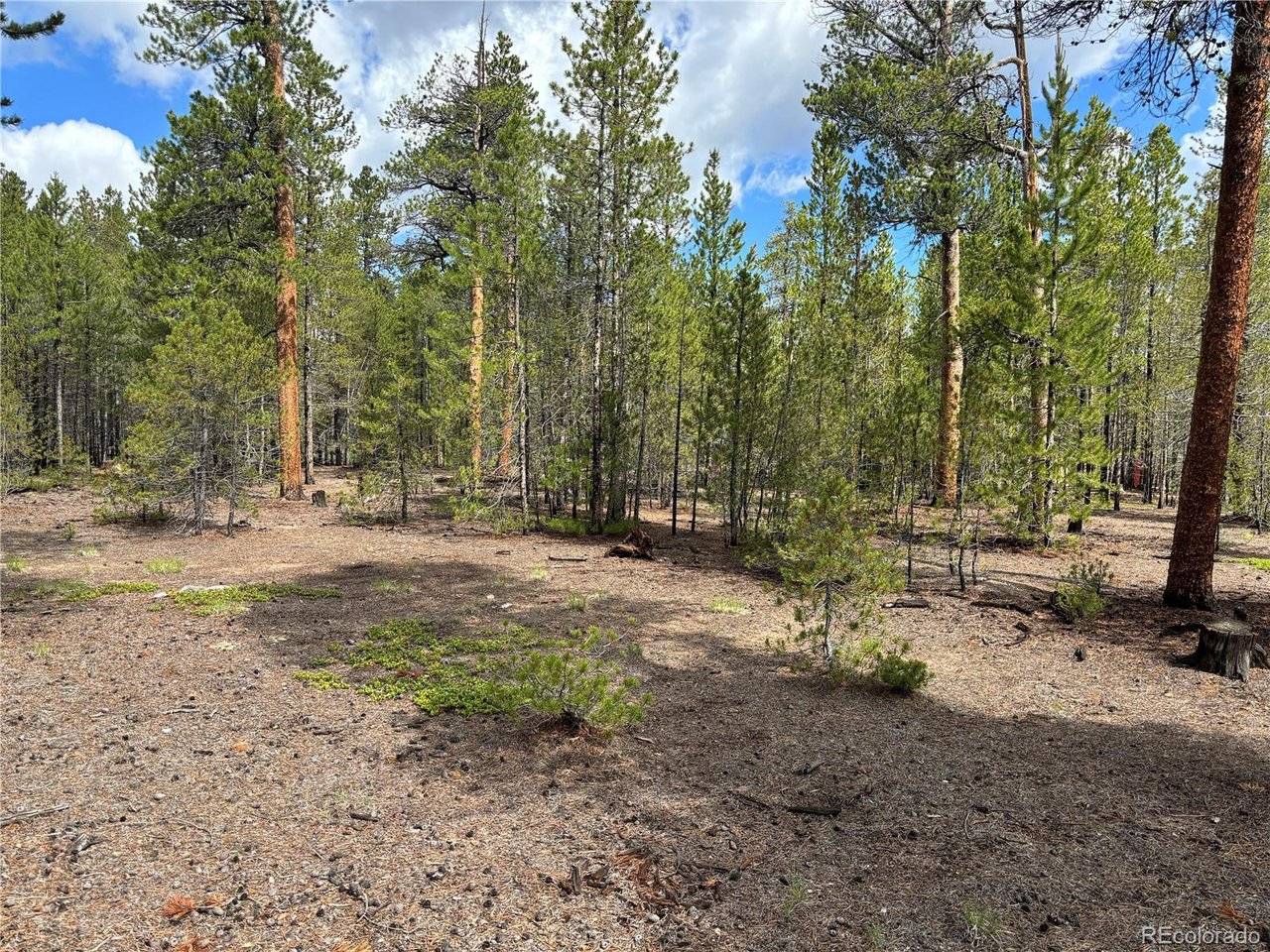 399 Fir, Twin Lakes, CO 80461