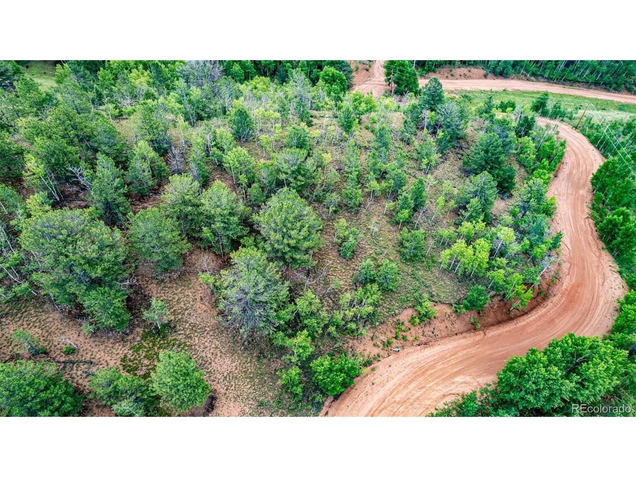 1693 Golden Cycle, Cripple Creek, CO 80813