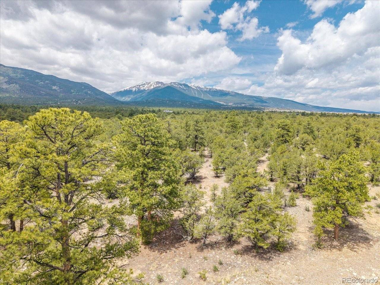 29266 Timber Ridge, Buena Vista, CO 81211