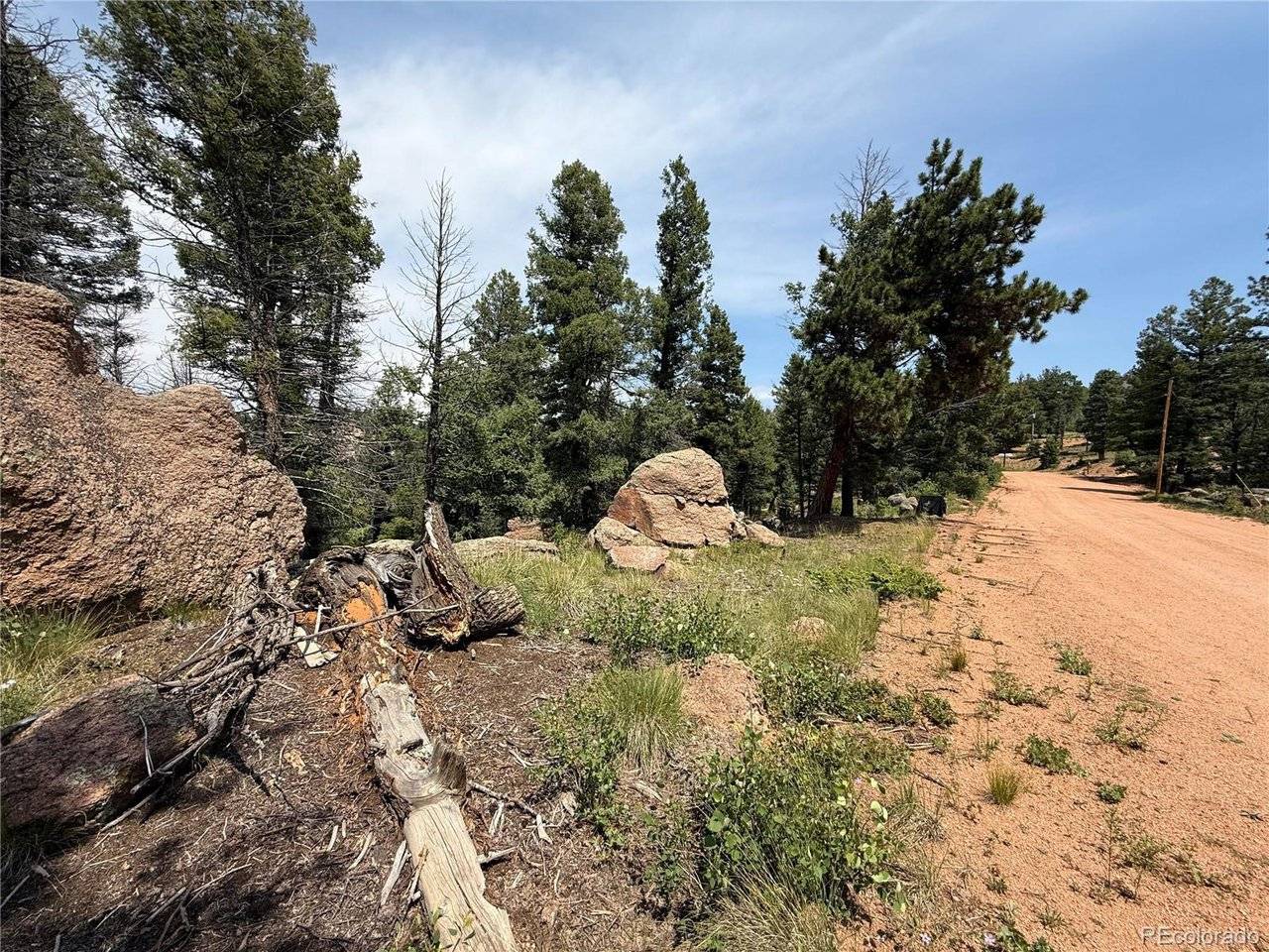 3546 N Mountain Estates, Florissant, CO 80816