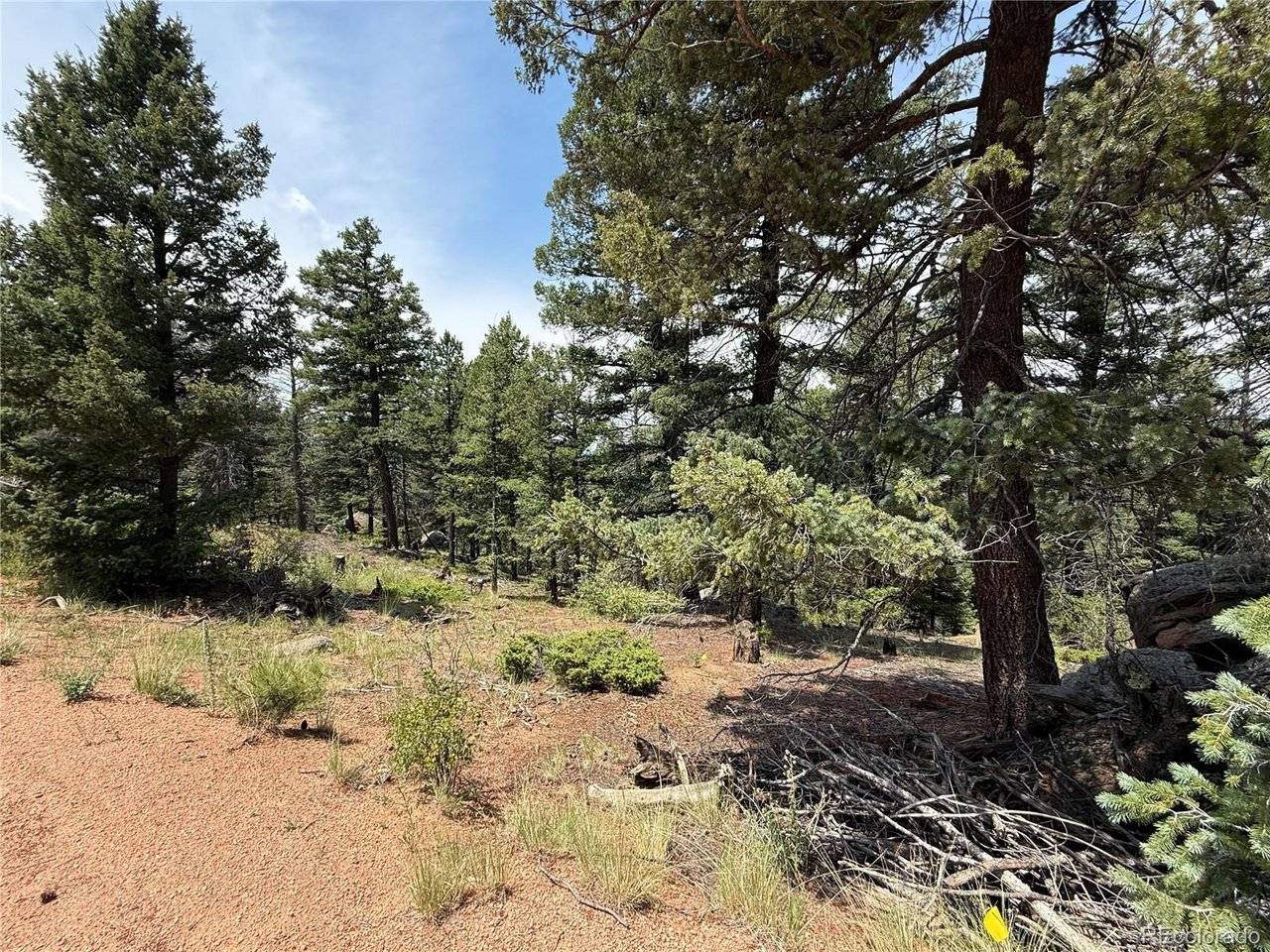 3546 N Mountain Estates, Florissant, CO 80816