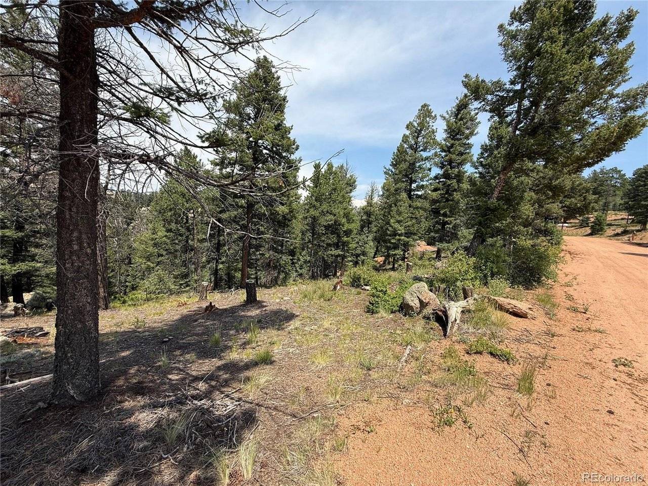 3546 N Mountain Estates, Florissant, CO 80816
