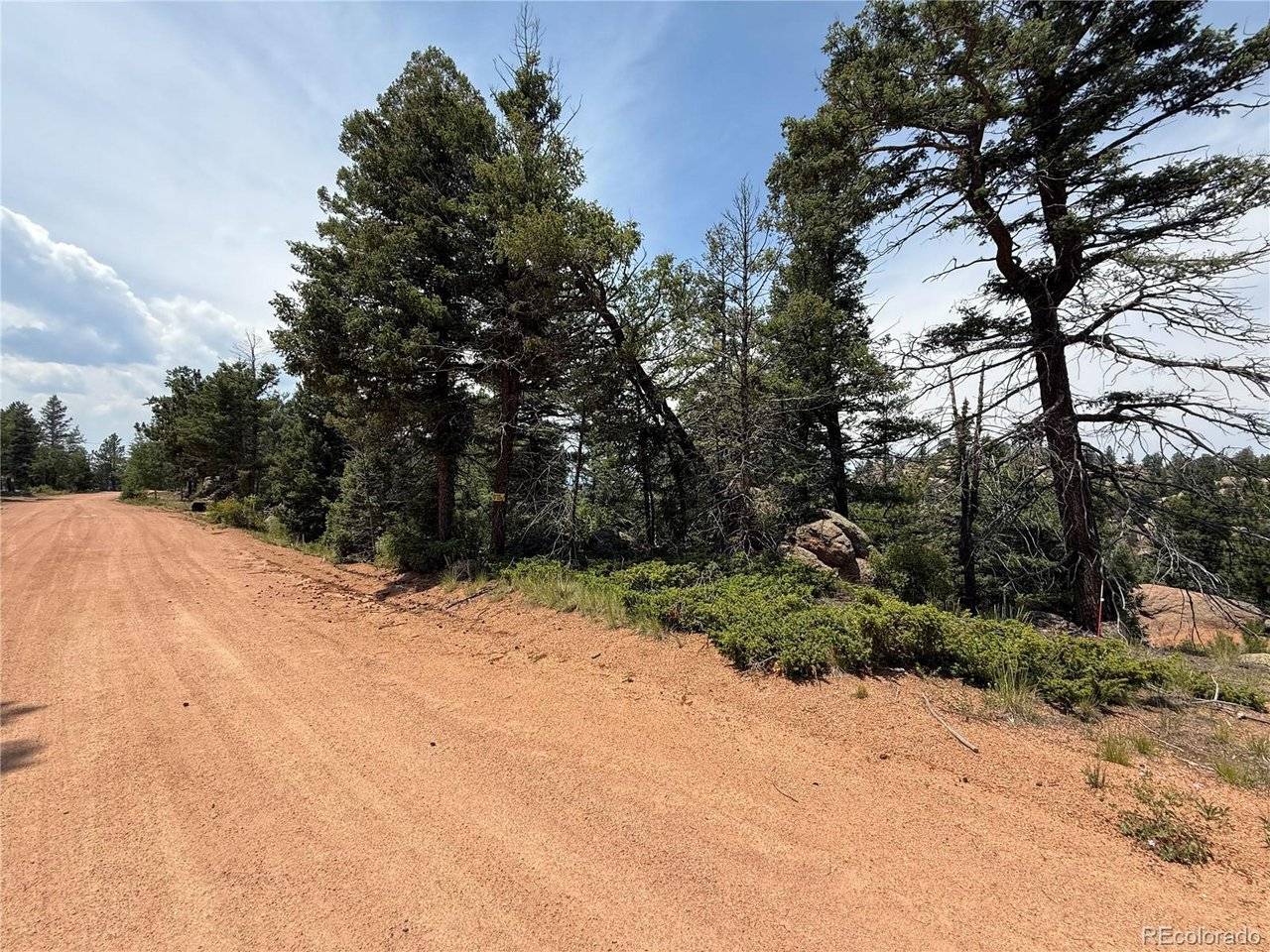 3546 N Mountain Estates, Florissant, CO 80816