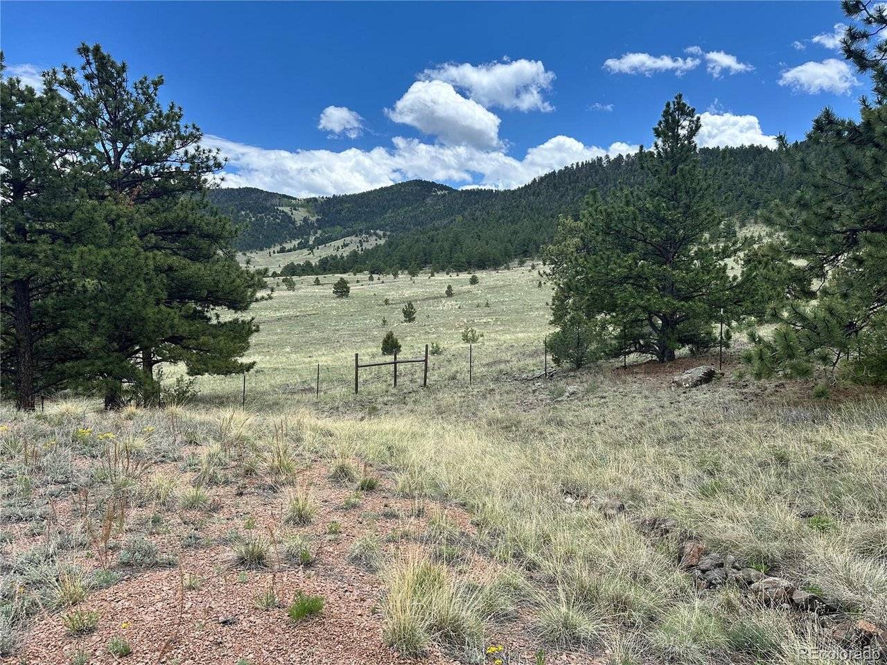 Address not disclosed, Guffey, CO 80820