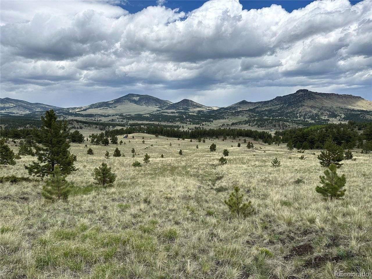 Address not disclosed, Guffey, CO 80820