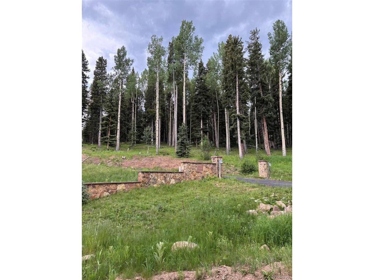 28651 Belle Point, Conifer, CO 80433