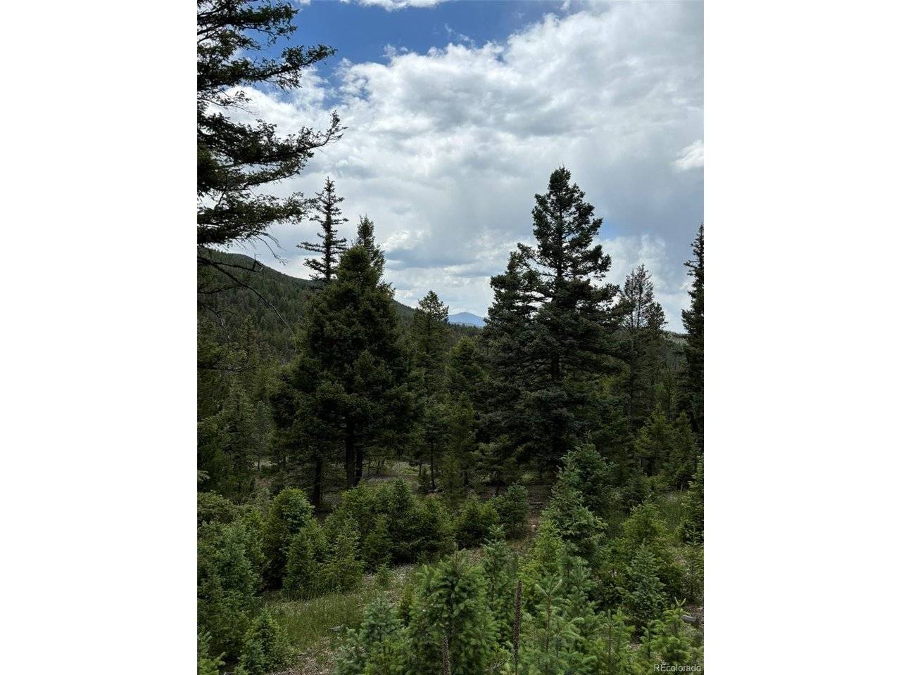 28651 Belle Point, Conifer, CO 80433
