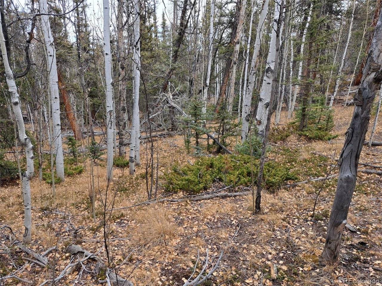 210 Tepee, Como, CO 80432