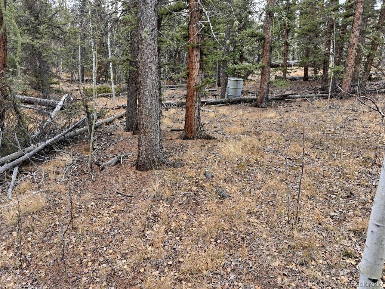 210 Tepee, Como, CO 80432
