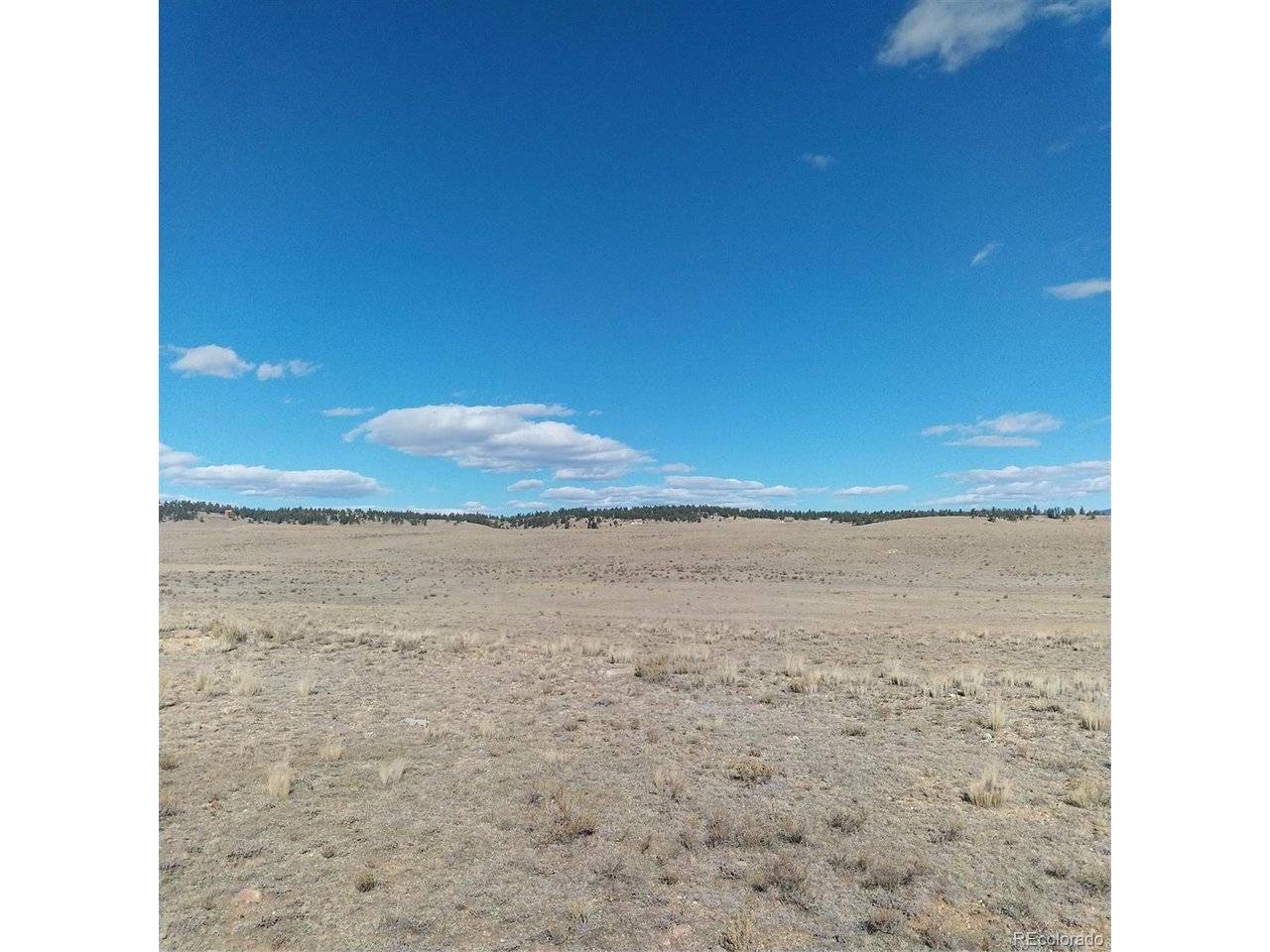 3552 Ute, Hartsel, CO 80449
