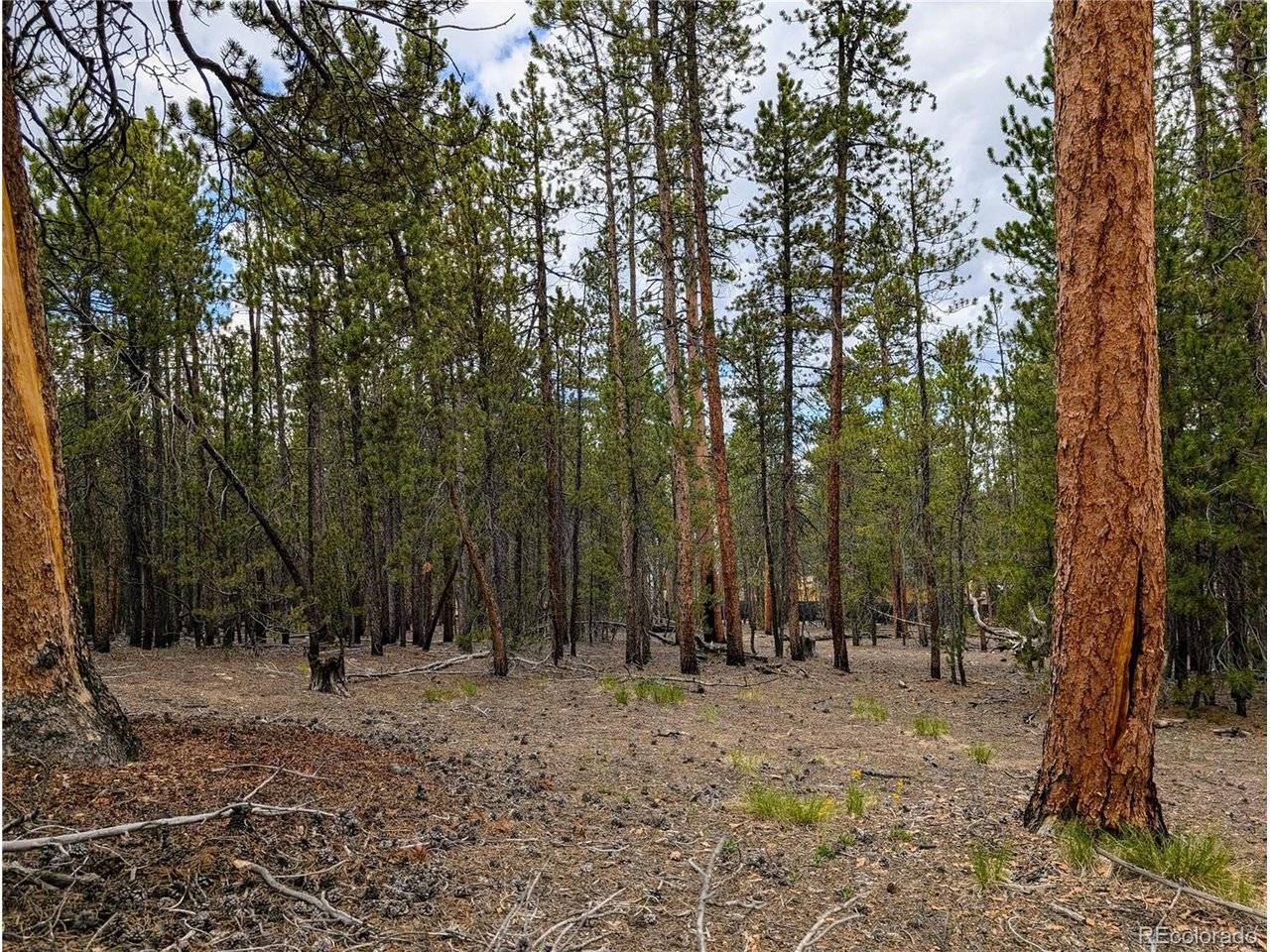1073 Sequoia, Twin Lakes, CO 81251