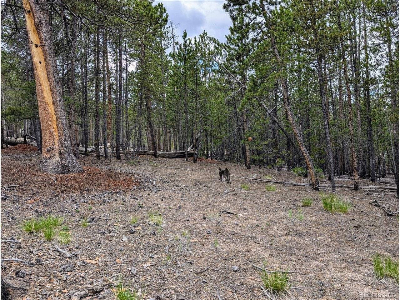 1073 Sequoia, Twin Lakes, CO 81251