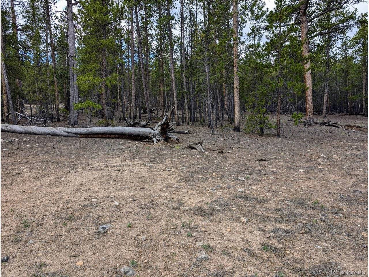 1073 Sequoia, Twin Lakes, CO 81251