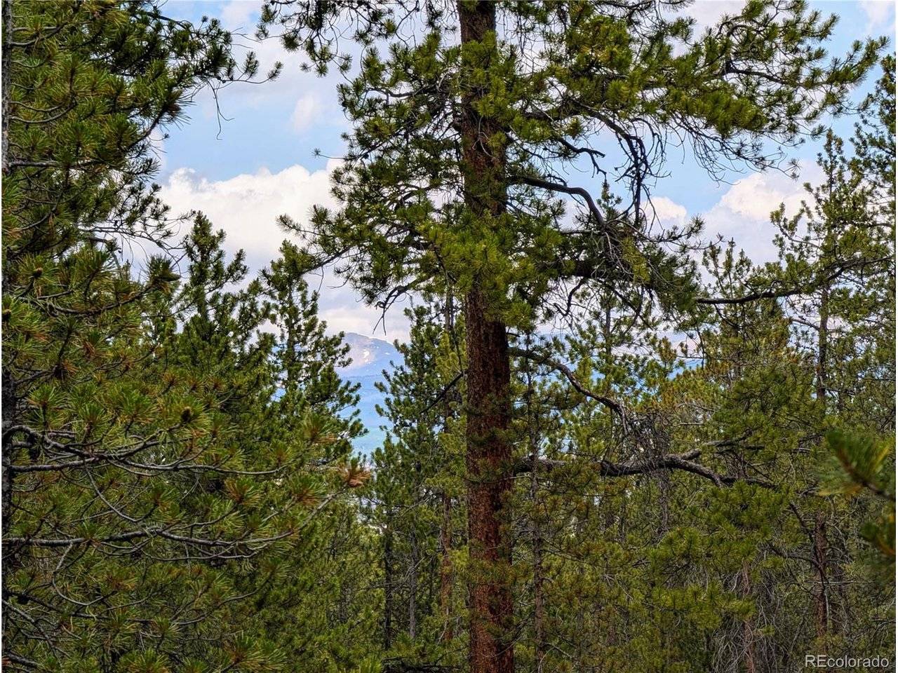 1073 Sequoia, Twin Lakes, CO 81251