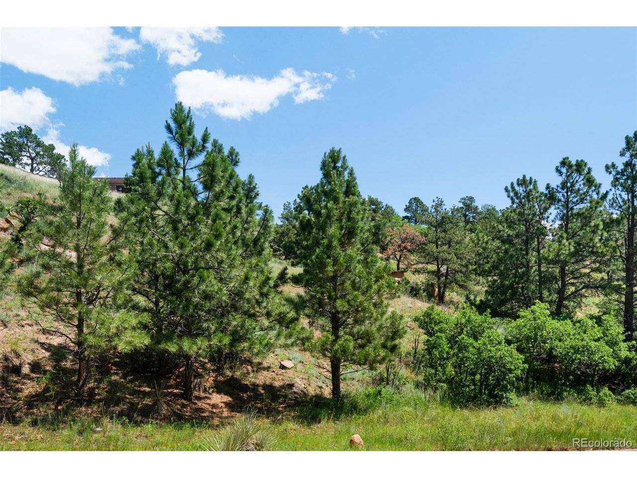 7137 Oak Valley, Colorado Springs, CO 80919