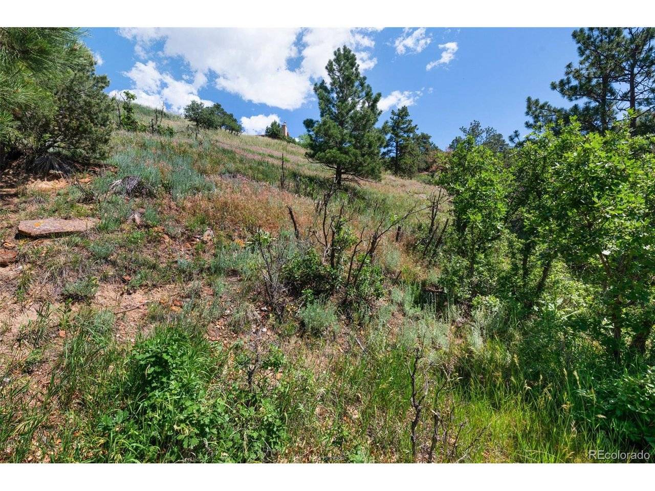 7137 Oak Valley, Colorado Springs, CO 80919