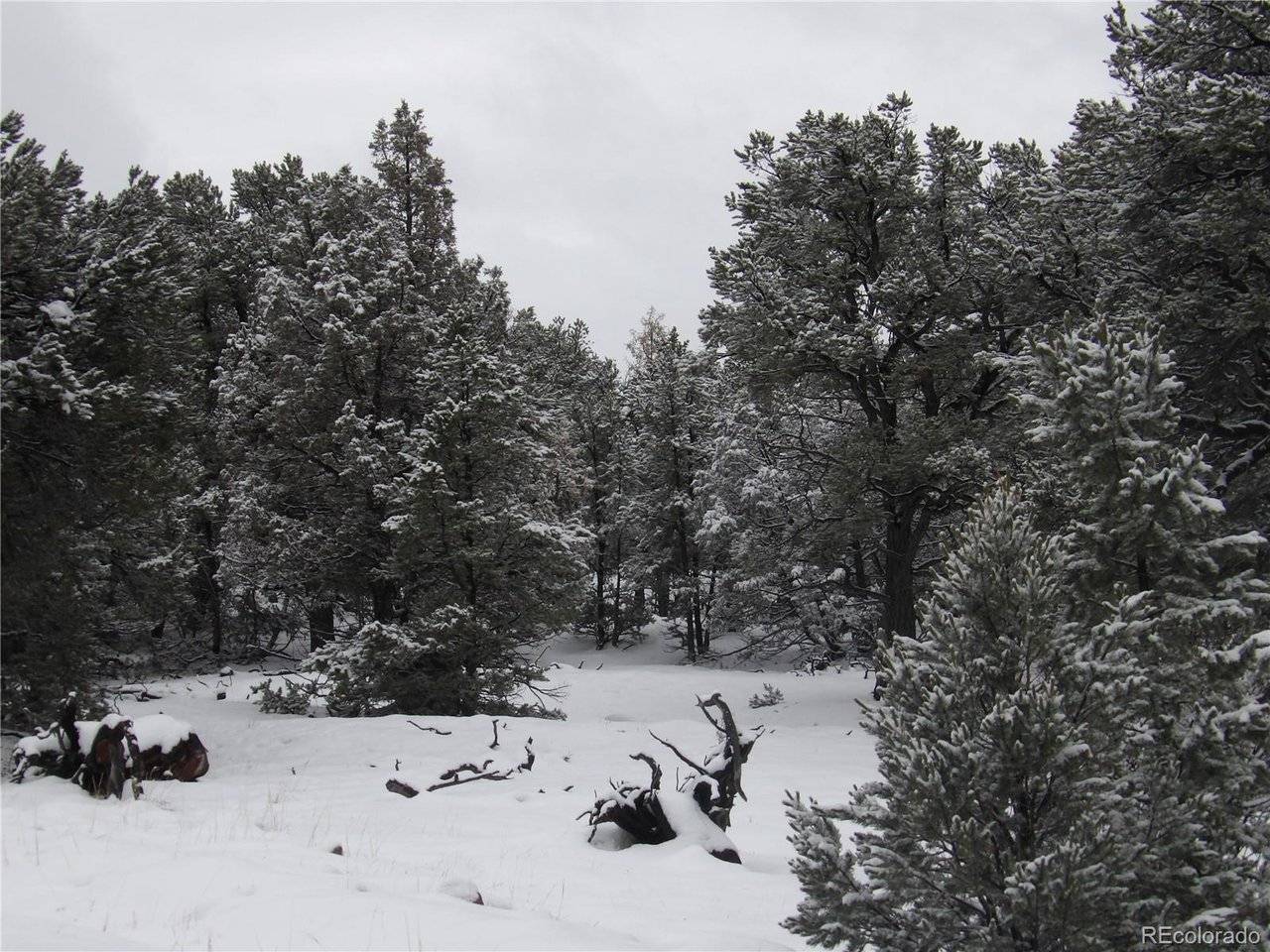 2119 Oriole Overlook, Crestone, CO 81131