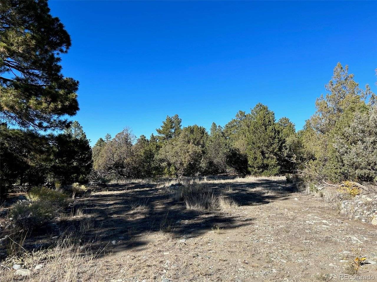 25 Pioneer, Mosca, CO 81144