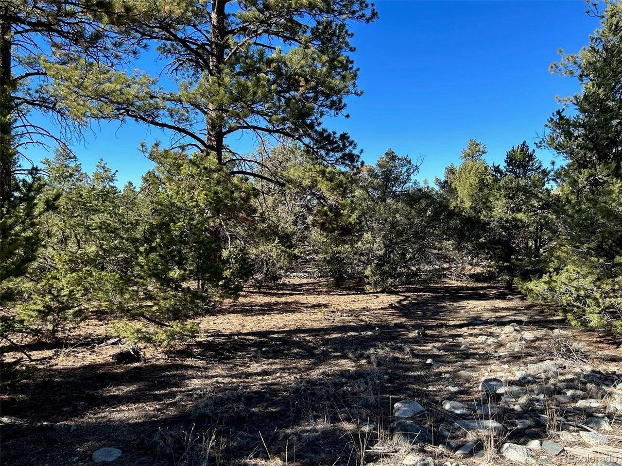 25 Pioneer, Mosca, CO 81144
