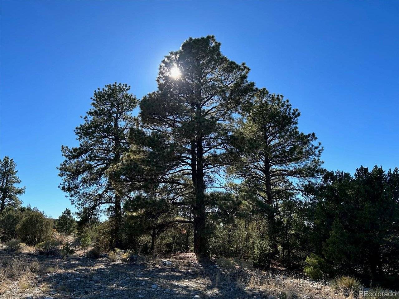 25 Pioneer, Mosca, CO 81144