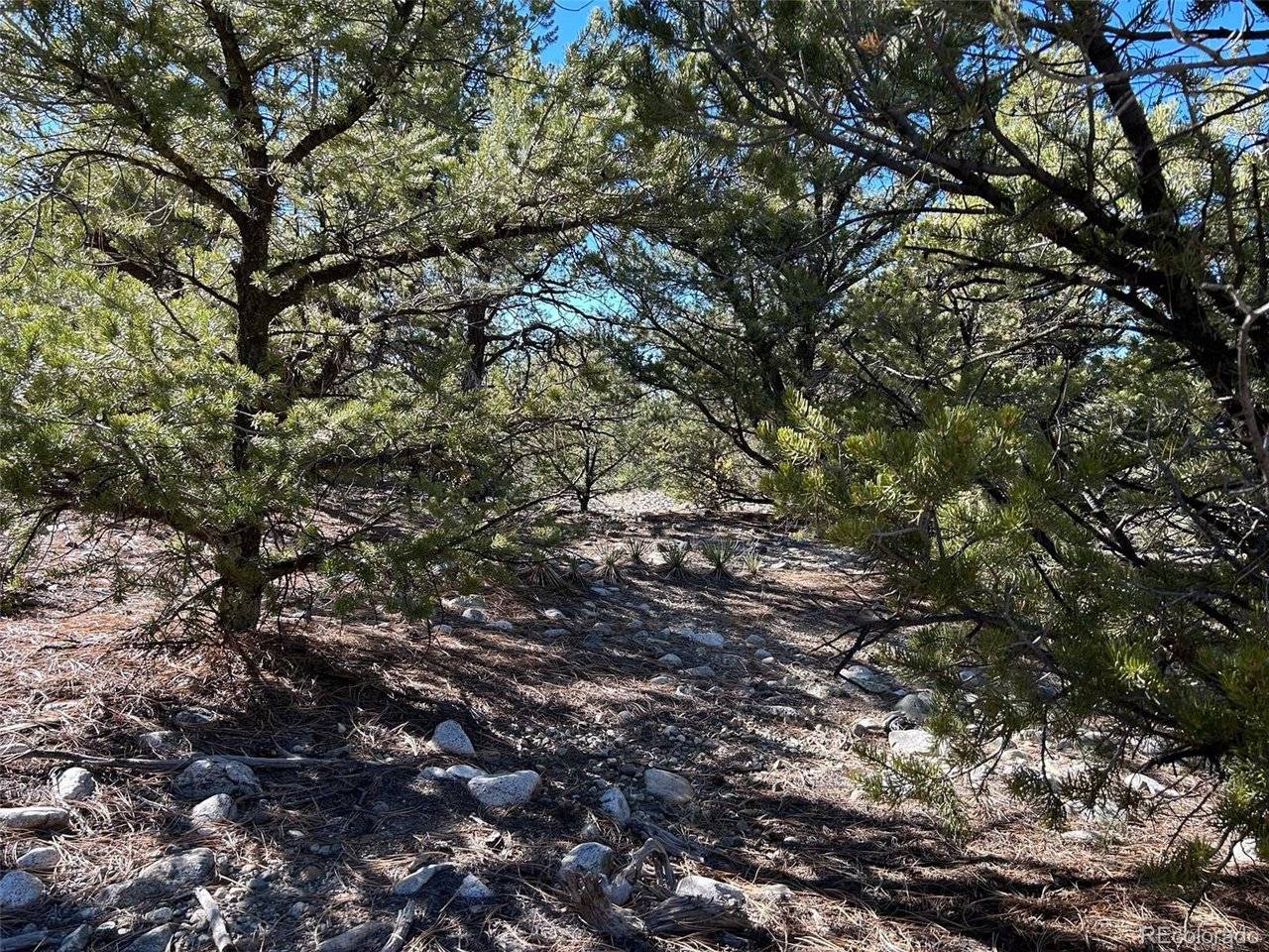 25 Pioneer, Mosca, CO 81144