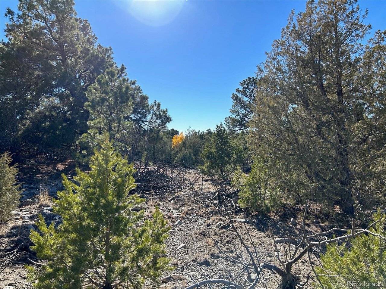 25 Pioneer, Mosca, CO 81144