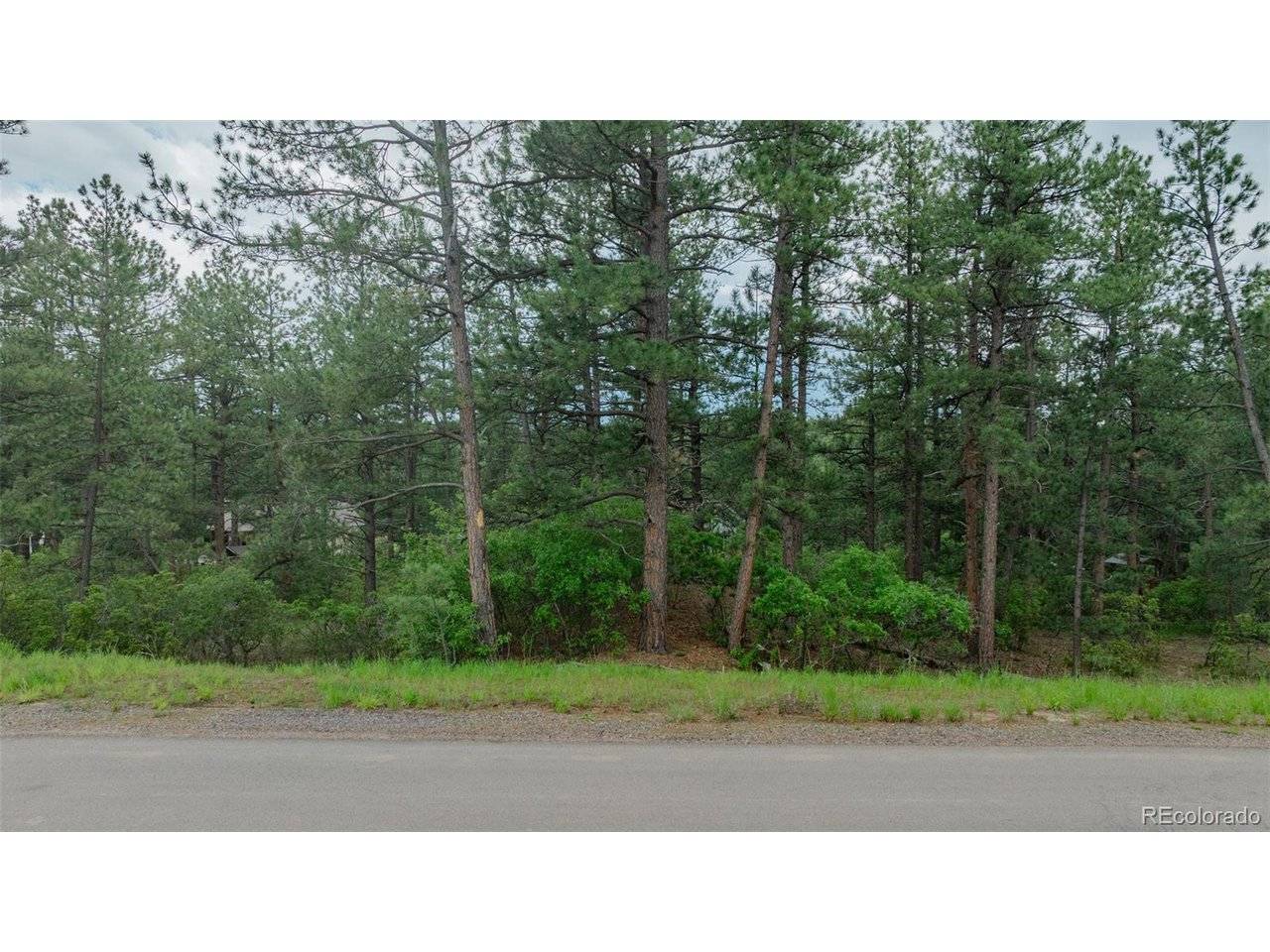 648 Copper Fox, Larkspur, CO 80118