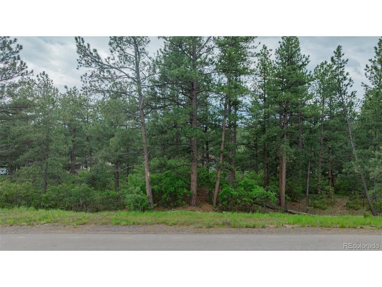 648 Copper Fox, Larkspur, CO 80118
